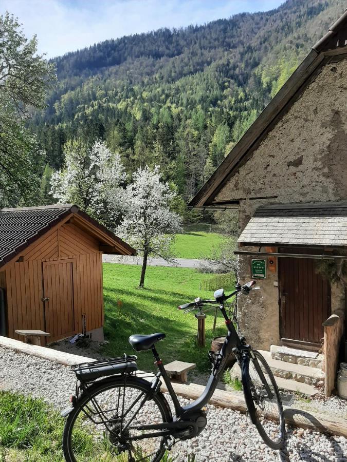 Ferienhaus Hirschnest Sankt Pankraz Bagian luar foto