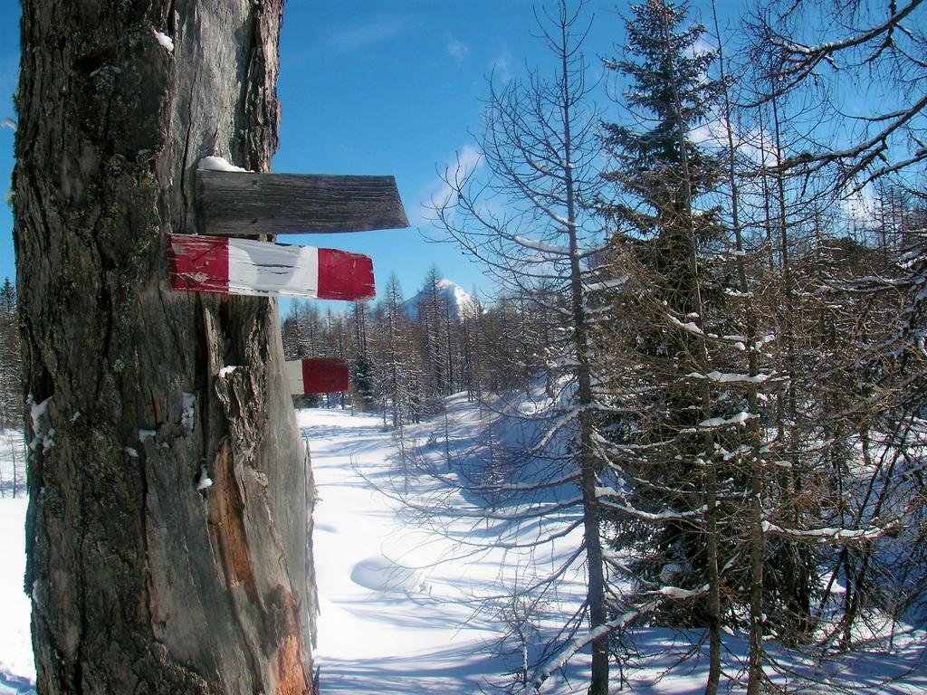 Ferienhaus Hirschnest Sankt Pankraz Bagian luar foto