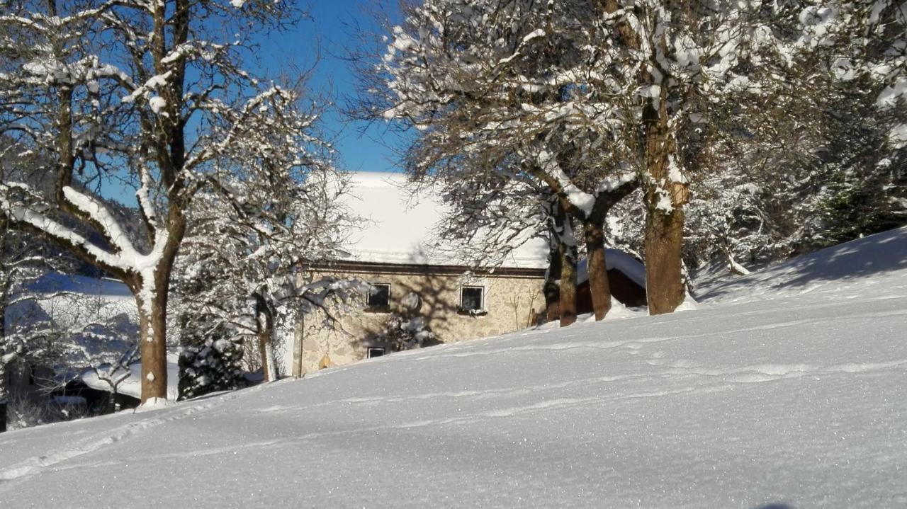 Ferienhaus Hirschnest Sankt Pankraz Bagian luar foto