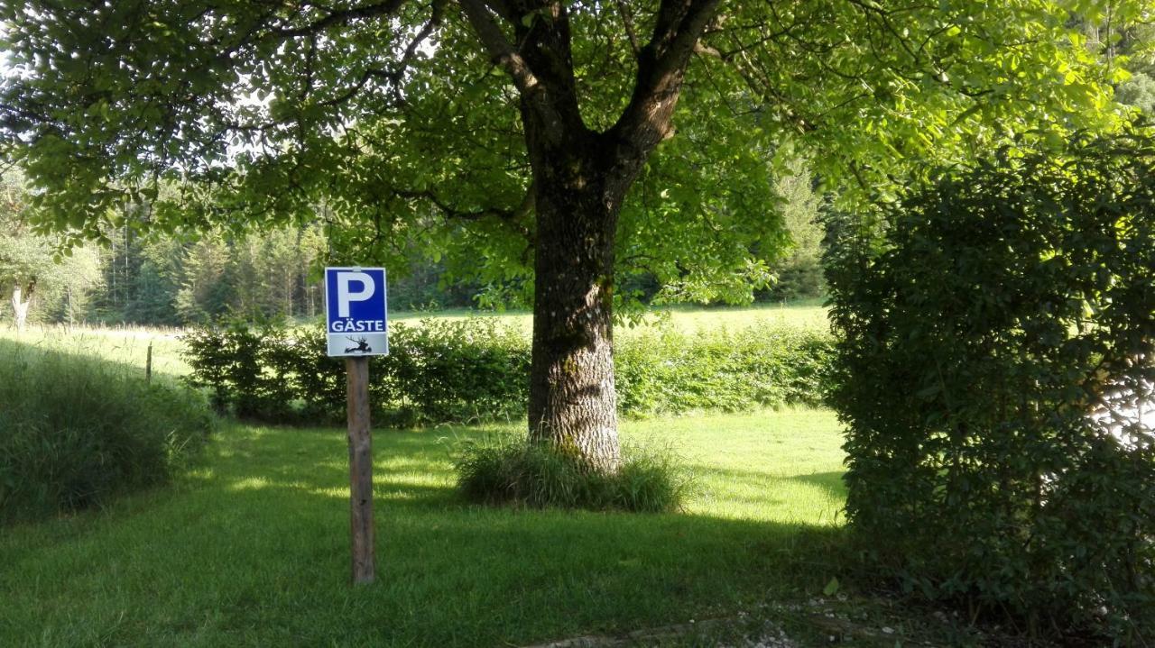 Ferienhaus Hirschnest Sankt Pankraz Bagian luar foto