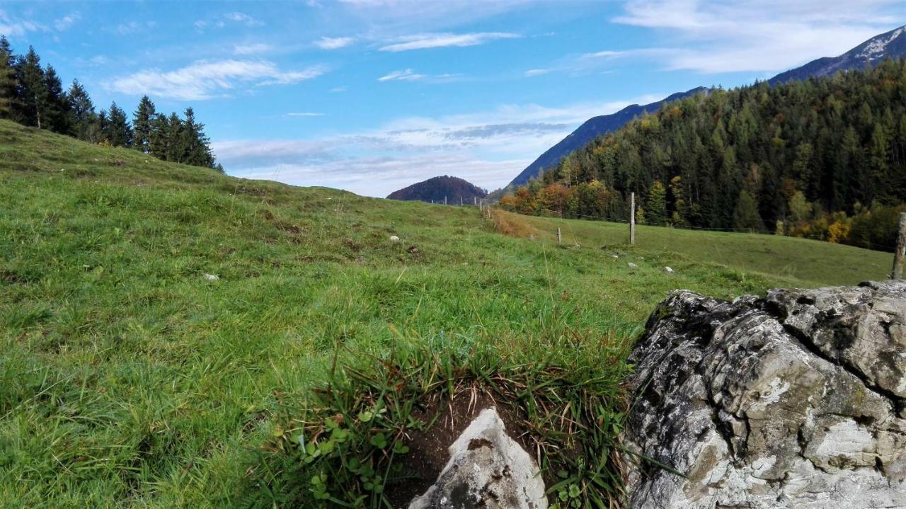 Ferienhaus Hirschnest Sankt Pankraz Bagian luar foto